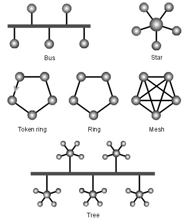 542_network architecture.jpg